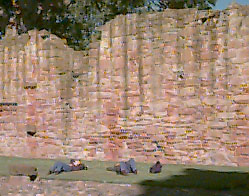 Lazing in the sun, in front of the HIGH garden wall!